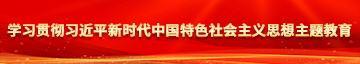 插进逼逼里面软件学习贯彻习近平新时代中国特色社会主义思想主题教育